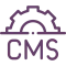 cms-web-development-wp-icon