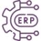 custom-erp-integration-icon